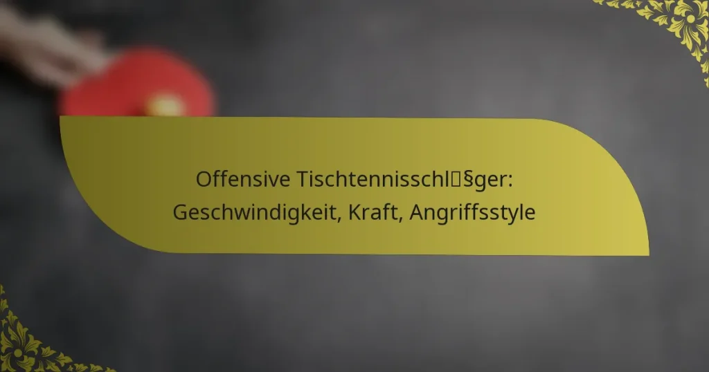 Offensive Tischtennisschläger: Geschwindigkeit, Kraft, Angriffsstyle
