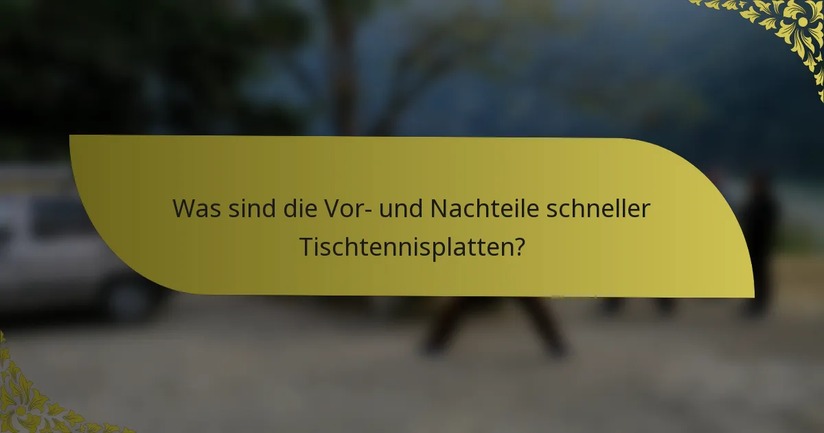 Was sind die Vor- und Nachteile schneller Tischtennisplatten?
