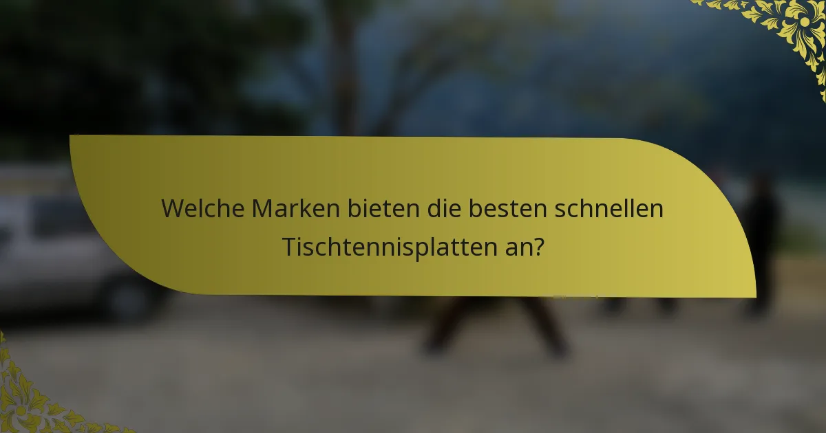 Welche Marken bieten die besten schnellen Tischtennisplatten an?