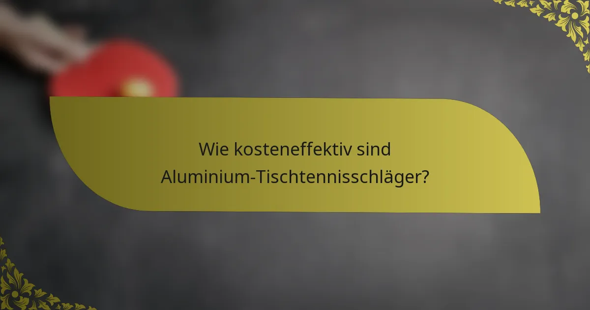 Wie kosteneffektiv sind Aluminium-Tischtennisschläger?