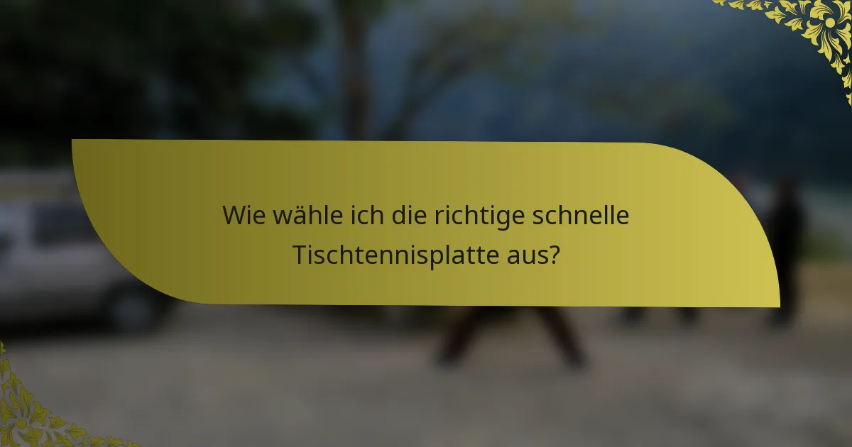 Wie wähle ich die richtige schnelle Tischtennisplatte aus?